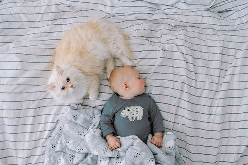 Badass cat names.jpeg?ixlib=rails 3.0