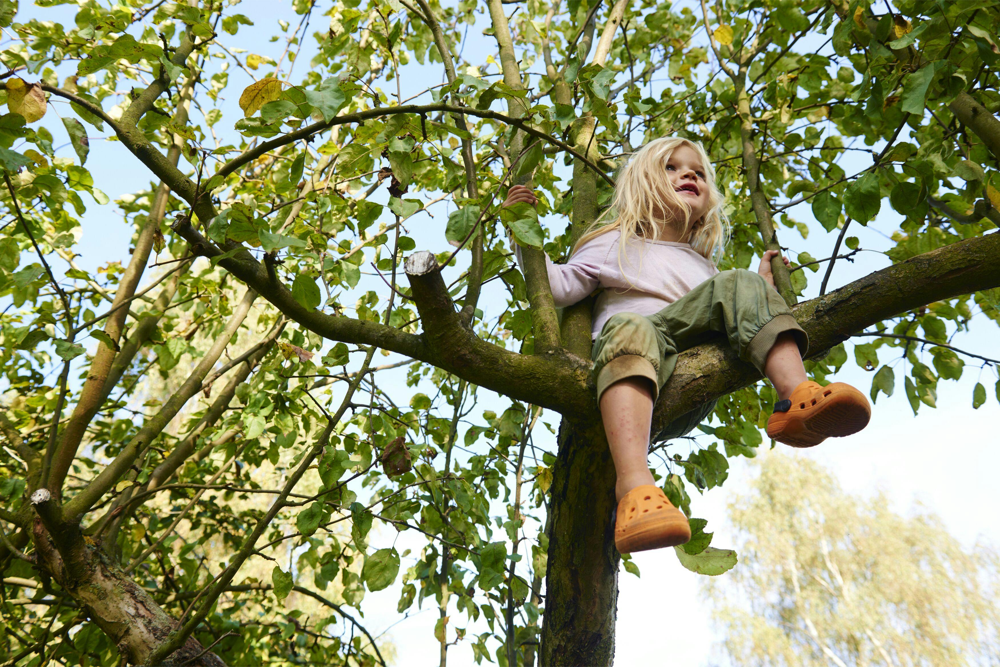 Tree baby names.jpeg?ixlib=rails 3.0
