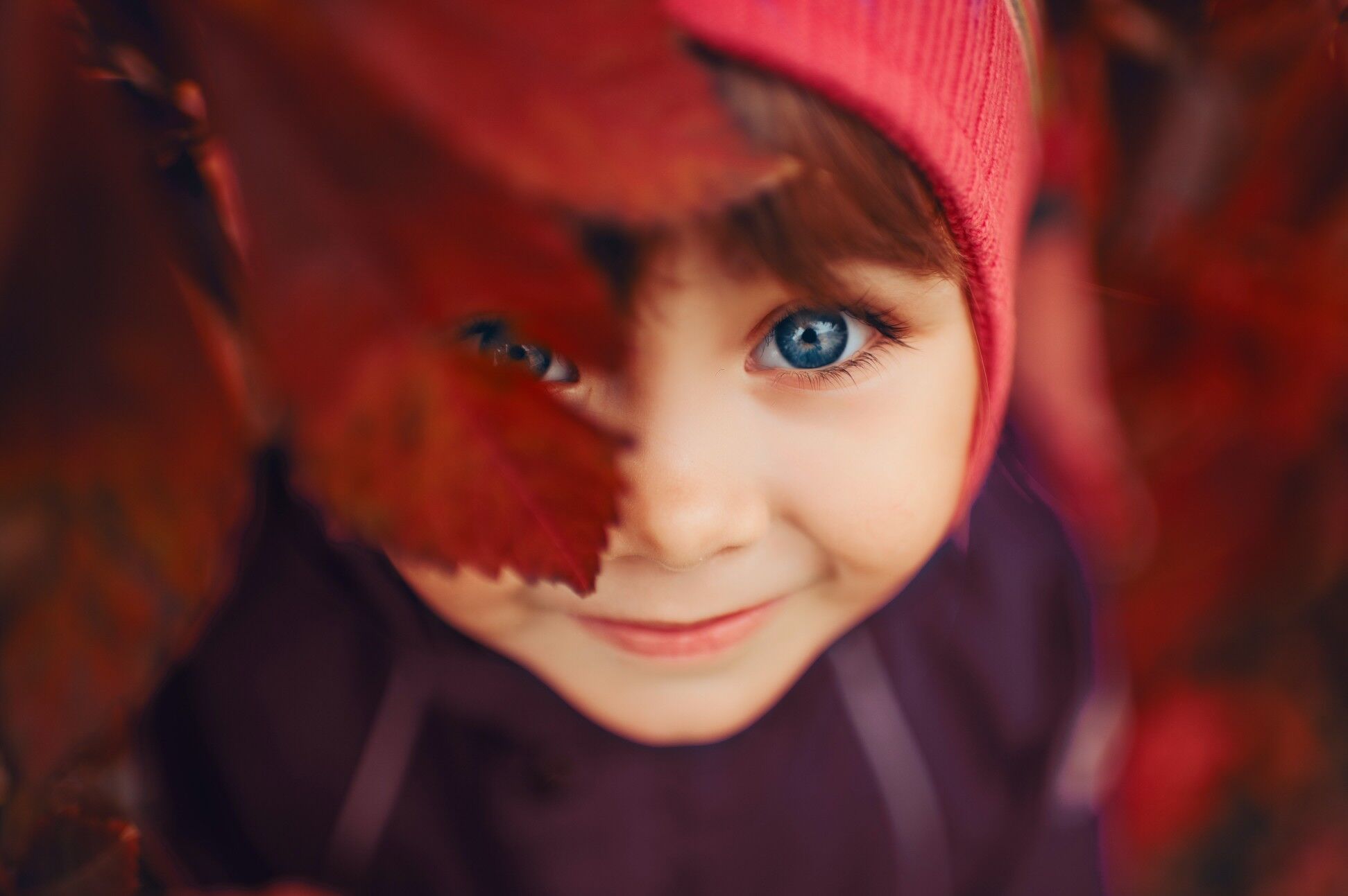 fall baby photos